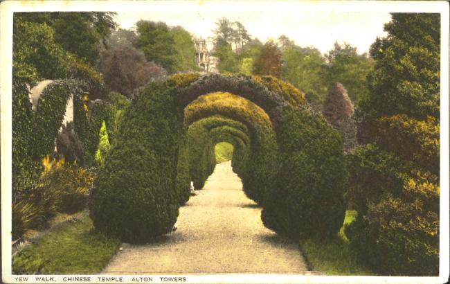Yew Arches
